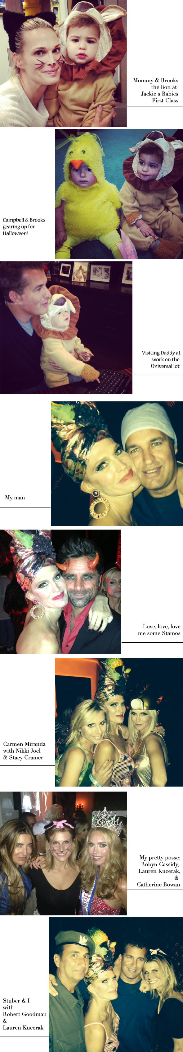 molly sims halloween collage 2013